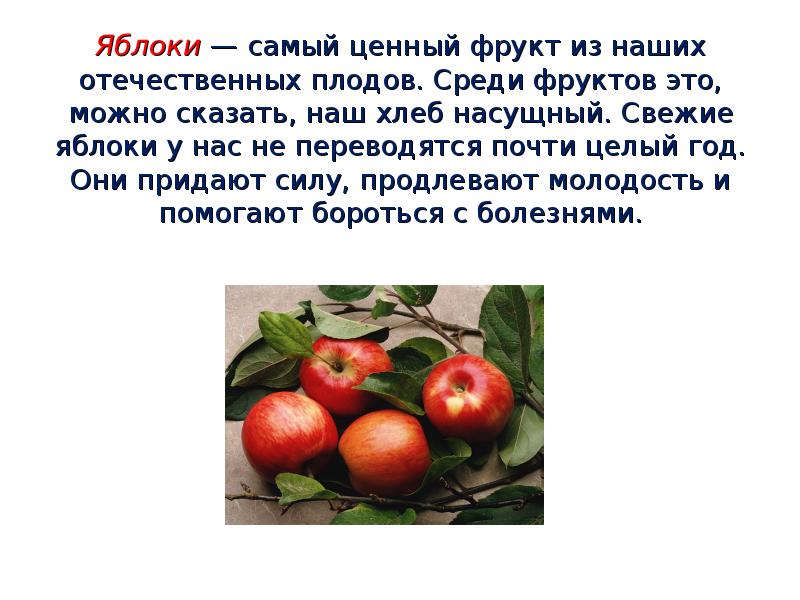 Яблоки — самый ценный фрукт из наших отечественных плодов. Среди фруктов
