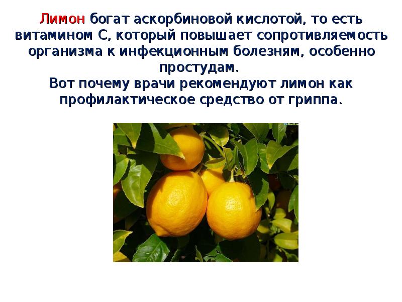 Лимон богат аскорбиновой кислотой, то есть витамином С, который повышает сопротивляемость