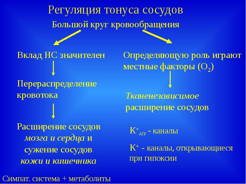 Презентация на тему адаптация организма к гипоксии