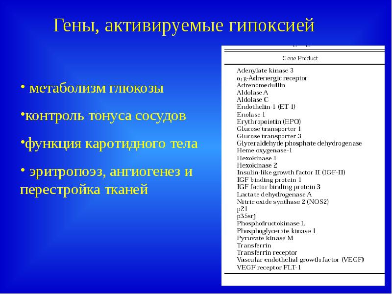 Презентация на тему адаптация организма к гипоксии