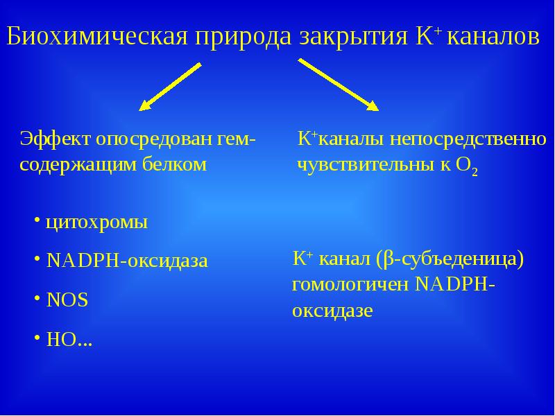 Презентация на тему адаптация организма к гипоксии