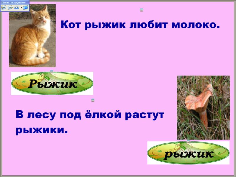 Составить предложение со словом рыжик. Придумать предложение со словом рыжик. имена собственные 1 класс презентация. рыжик имя собственное в предложении. составить предложение с именем собственным рыжики.