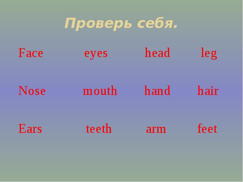 Roll eyes перевод. Face презентация. Английский язык перевод hair, hand, eyed, foot, Teeth.
