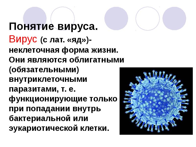 Презентация вирусы 5 класс