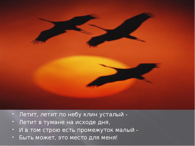 Песня летим по небу. Летит летит по небу Клин усталый летит. Расул Гамзатов Журавли. Журавли в небе Гамзатов. Летит в тумане на исходе дня.