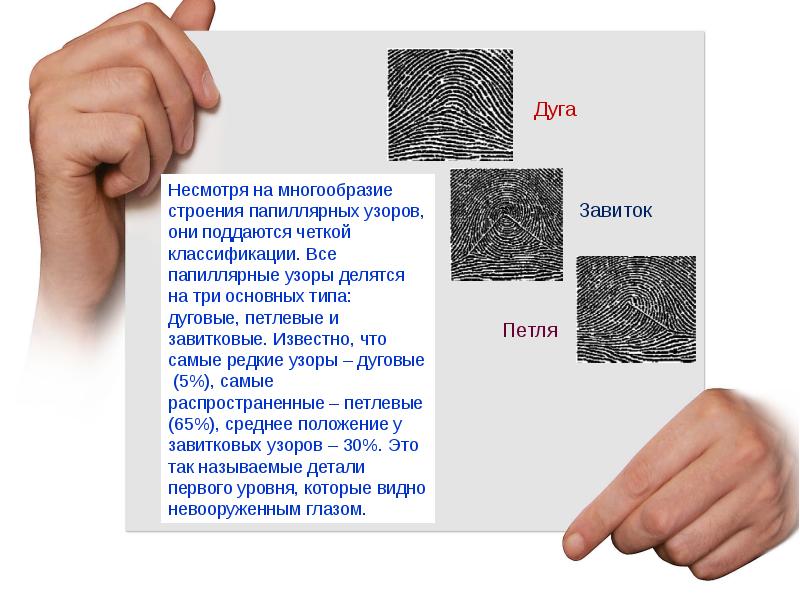 Проект по теме отпечатки пальцев