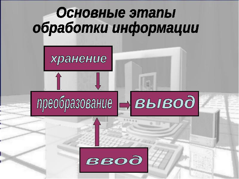 Основные стадии обработки информации презентация