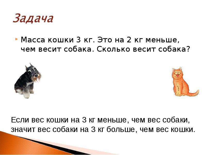 Масса кошки 3 кг. Это на 2 кг меньше, чем весит Масса кошки 3 кг. Это на 2 кг меньше, чем весит