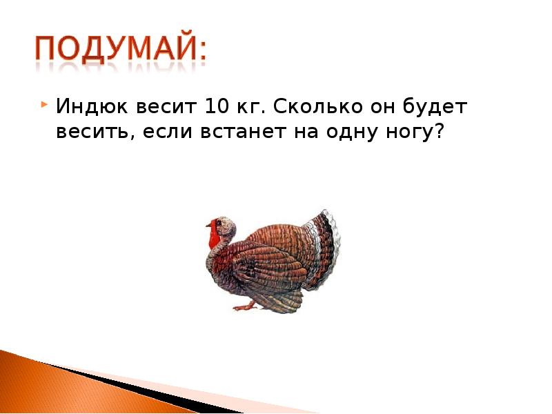 Индюк весит 10 кг. Сколько он будет весить, если встанет на Индюк весит 10 кг. Сколько он будет весить, если встанет на