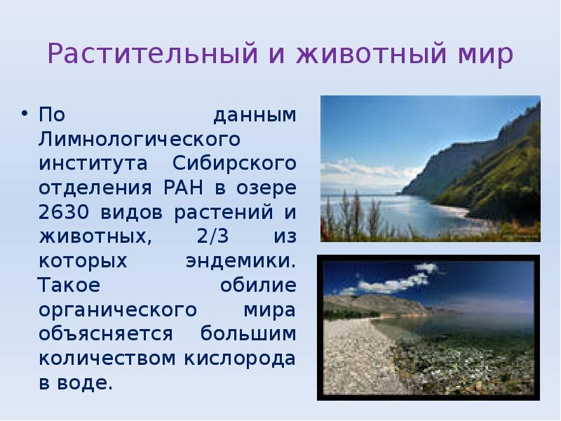 Растительный и животный мир
По данным Лимнологического института Сибирского отделения РАН Растительный и животный мир
По данным Лимнологического института Сибирского отделения РАН