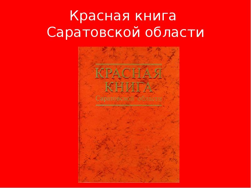 Красная Книга Саратовской Области Фото