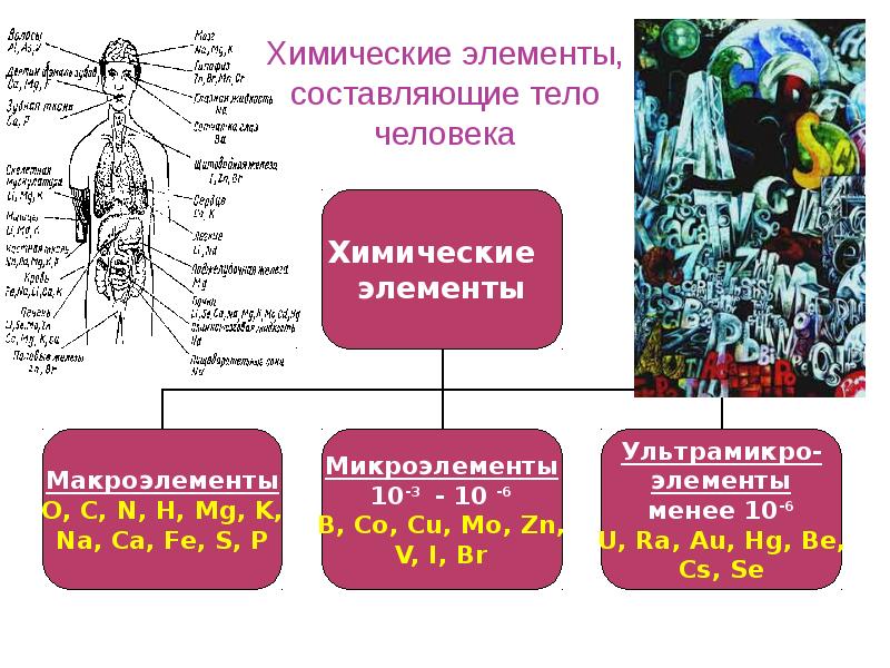 Химические организмы. Химические элементы в организме человека. Химические вещества в организме человека таблица. Элементы в теле человека. Химические элементы содержащиеся в организме человека.