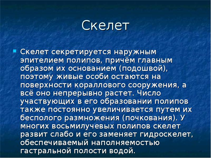 Скелет
Скелет секретируется наружным эпителием полипов, причём главным образом их основанием Скелет
Скелет секретируется наружным эпителием полипов, причём главным образом их основанием