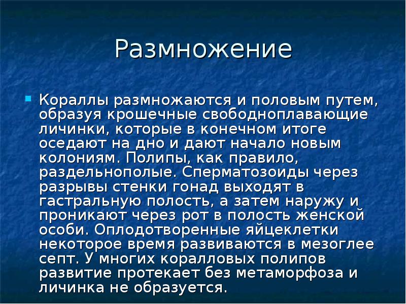 Коралловые полипы презентация