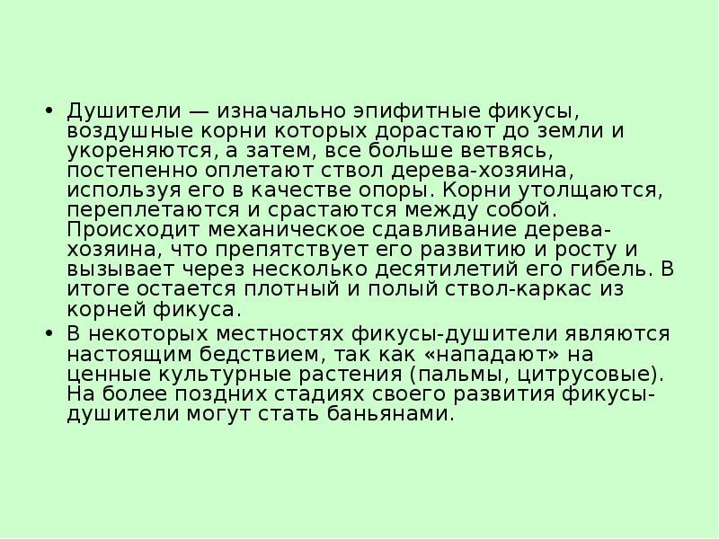 Душители — изначально эпифитные фикусы, воздушные корни которых дорастают до земли и Душители — изначально эпифитные фикусы, воздушные корни которых дорастают до земли и