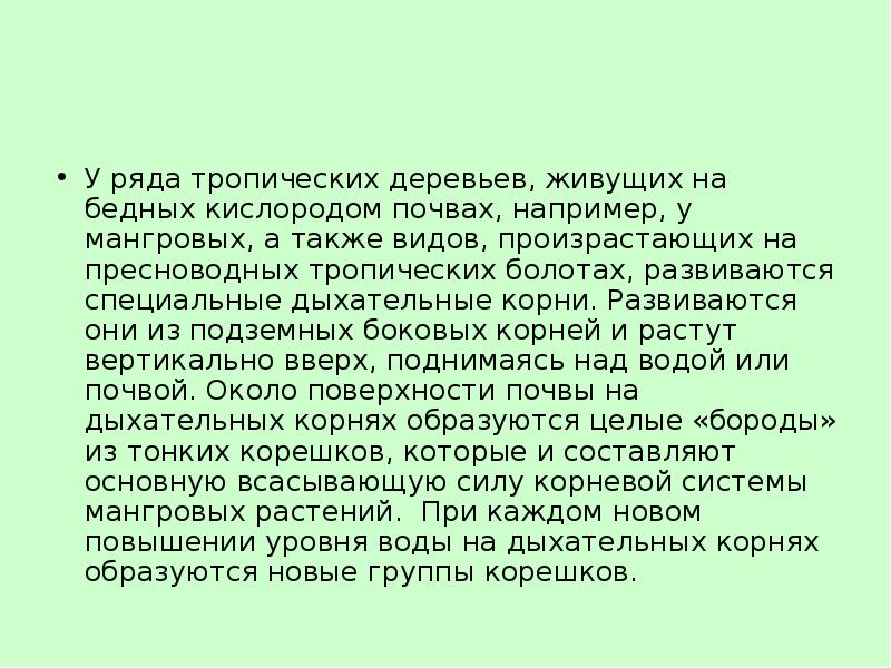 У ряда тропических деревьев, живущих на бедных кислородом почвах, например, у У ряда тропических деревьев, живущих на бедных кислородом почвах, например, у