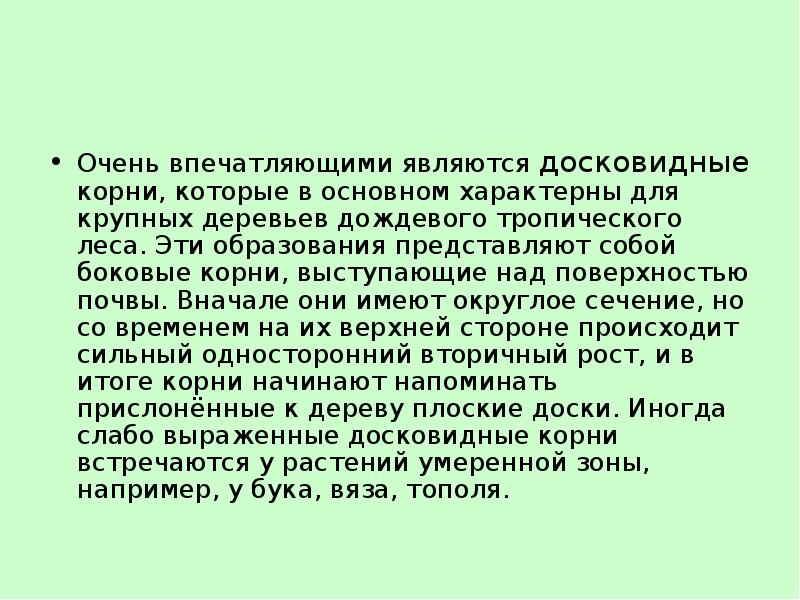 Очень впечатляющими являются досковидные корни, которые в основном характерны для крупных Очень впечатляющими являются досковидные корни, которые в основном характерны для крупных