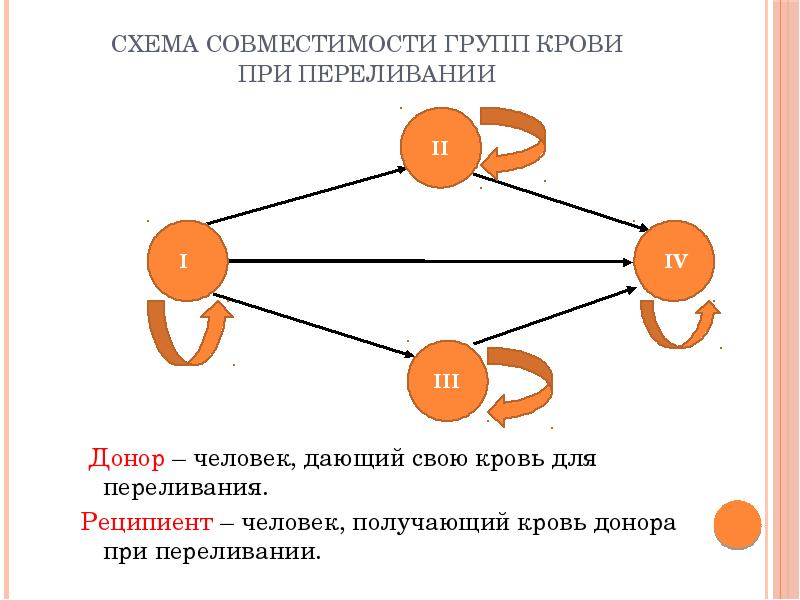 Схема совместимости групп крови при переливании
Схема совместимости групп крови при переливании