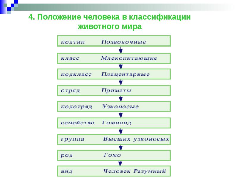 Систематика человека презентация