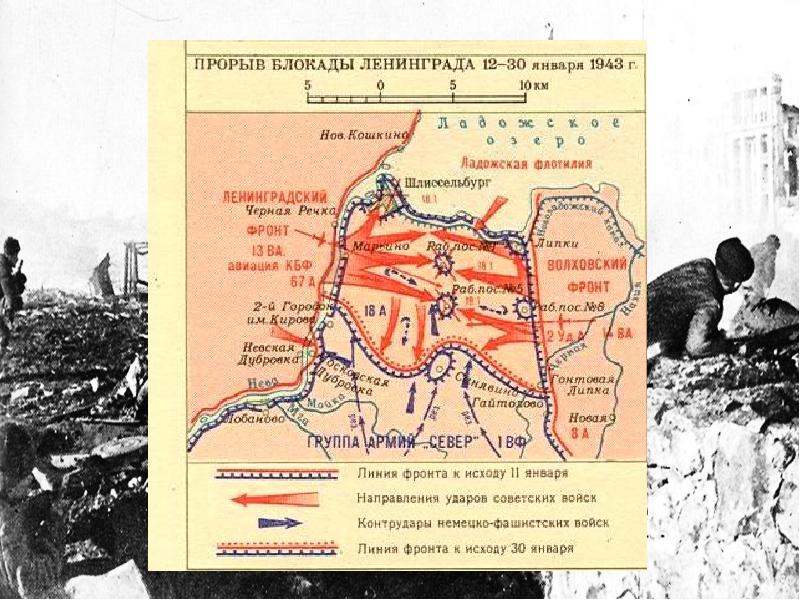 Блокада ленинграда планы сторон