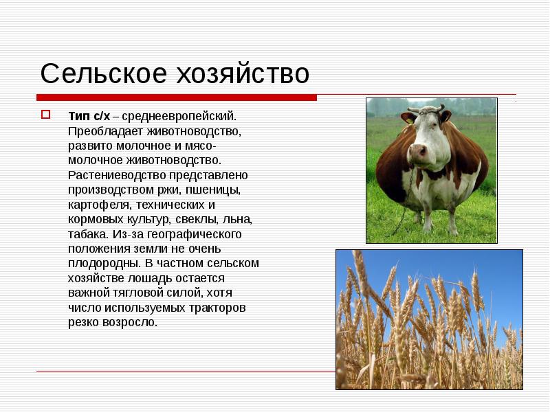 Сельское хозяйство Тип с/х – среднеевропейский. Преобладает животноводство, развито молочное и