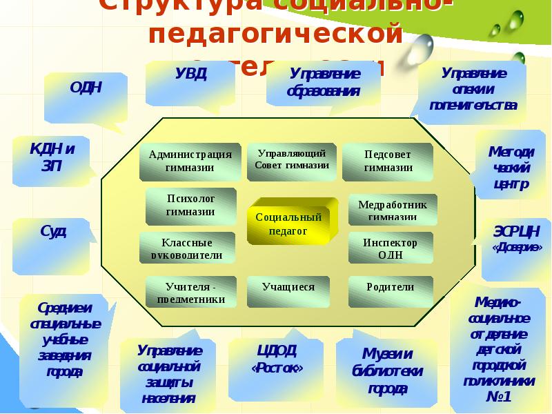 Социально педагогическая деятельность с семьей презентация