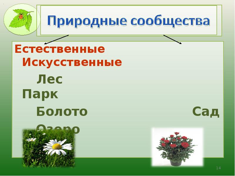 Естественные Искусственные
Естественные Естественные Искусственные
Естественные