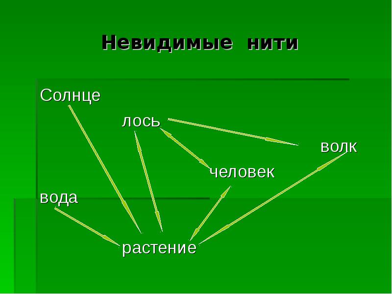 По тексту рассказа приведи пример невидимых нитей. Невидимые нити в осеннем лесу окружающий мир. Модель невидимые нити. Модель невидимые нити окружающий мир. Модель невидимые нити 2 класс.