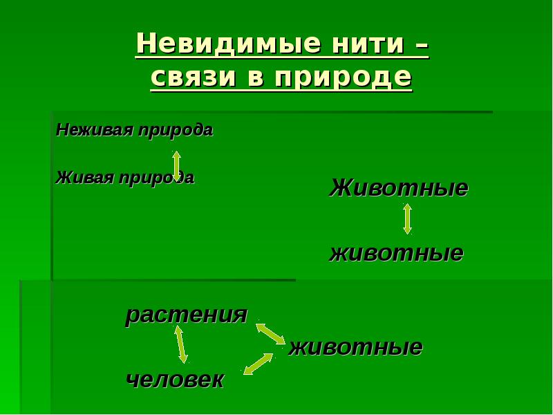 Невидимые дети проект