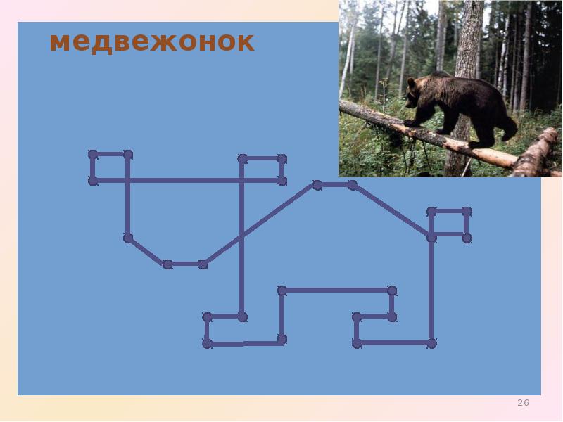 Рисунок по координатам медведь 1