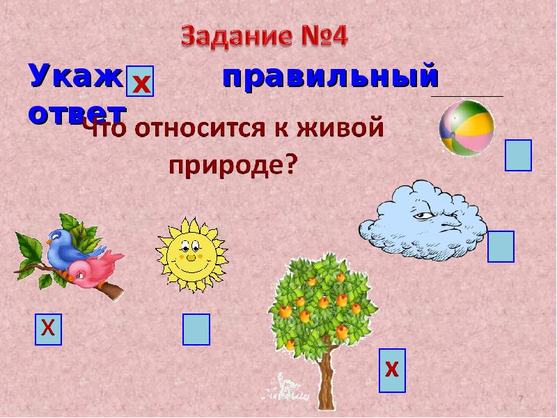 Презентация на тему окружающий мир. Тема для презентации окружающий мир. Окружающий мир презентация. Презентация по окружающему миру 1 класс. Презентация на тему окружающий мир 1 класс.