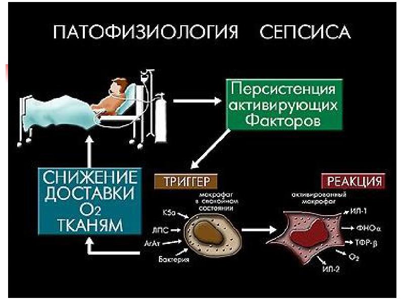 Сепсис что это простыми. Сепсис презентация. Сепсис патофизиология. Патогенез сепсиса патофизиология.