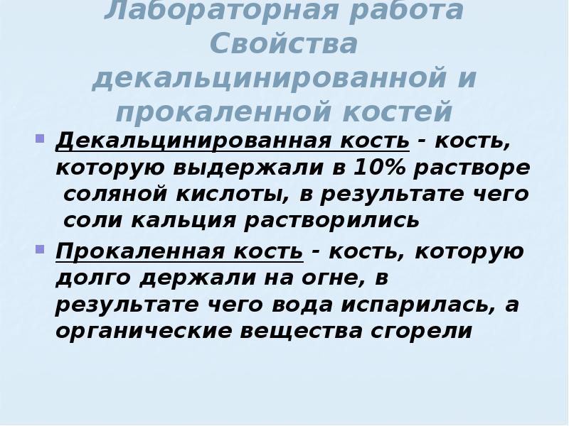 Практическая исследование свойств кости. Прокаливание кости. Декальцинированная кость. Нормальная кость декальцинированная и прокаленная кости. Свойства декальценированноймкости.