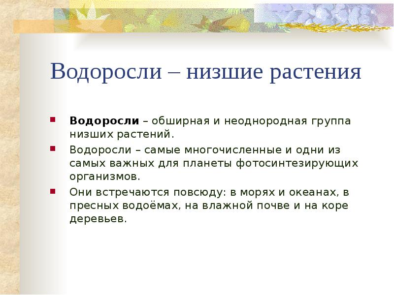 Водоросли – низшие растения Водоросли – обширная и неоднородная группа низших