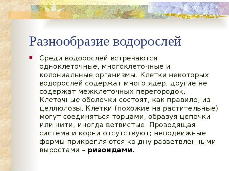 Разнообразие водорослей Среди водорослей встречаются одноклеточные, многоклеточные и колониальные организмы. Клетки