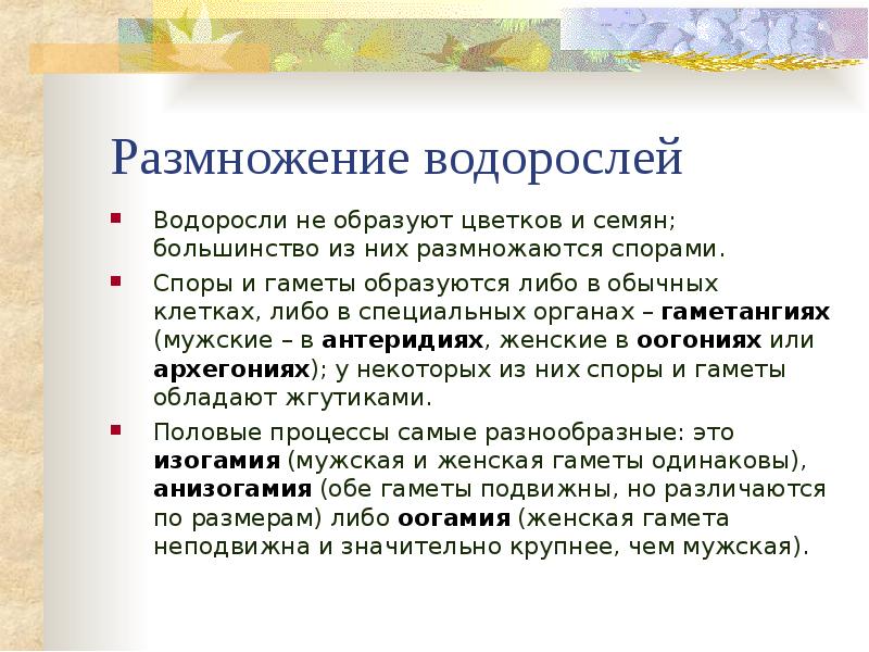 Размножение водорослей	 Водоросли не образуют цветков и семян; большинство из них