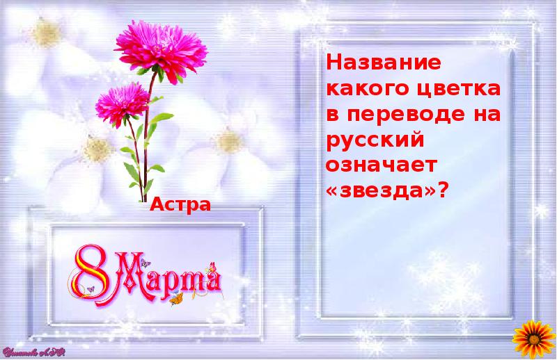 Цветы перевод. Викторина а ну ка девочки к 8 марта. Цветы на 8 марта названия. Название викторины для девочек. Название какого цветка в переводе означает звезда.