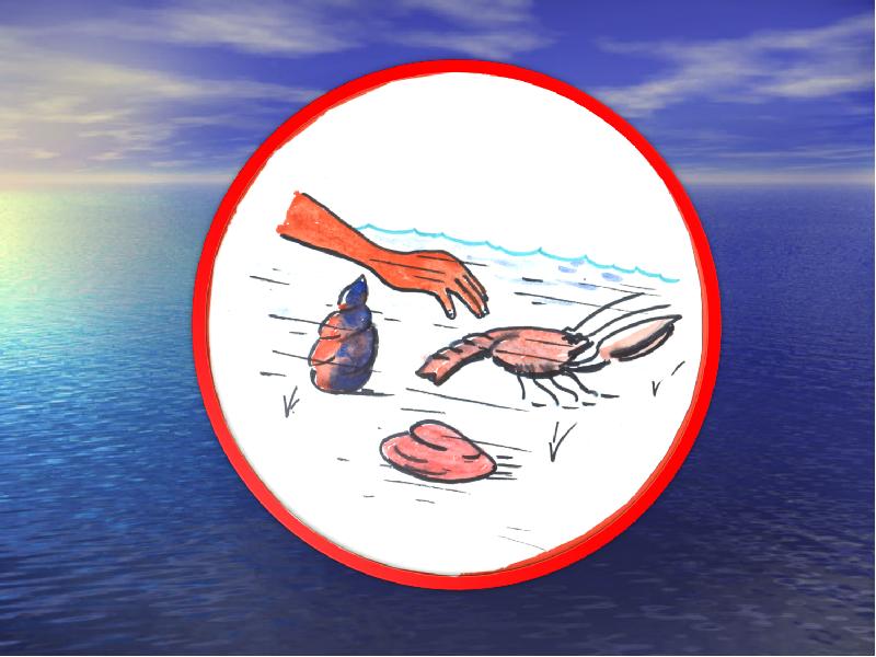 Знаки охраны водоемов. Знаки охраны воды. Знаки о поведении возле водоема. Знаки поведения у водоема. Придумай и нарисуй знаки поведения возле водоема.