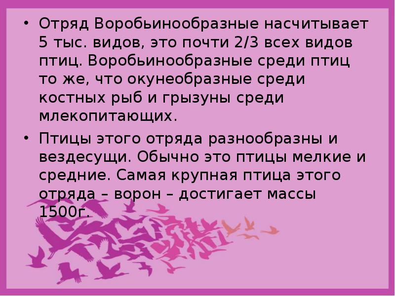 Презентация отряда выраженная в графическом виде это