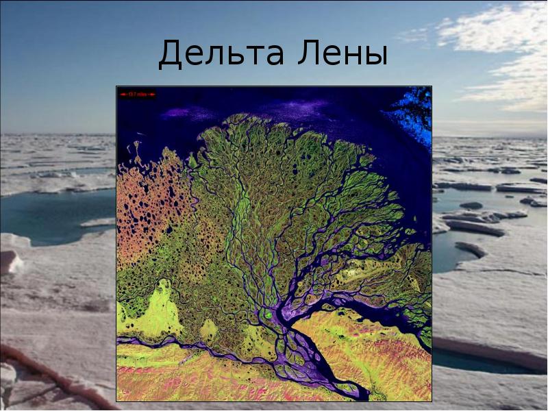 Дельта Лены Дельта Лены