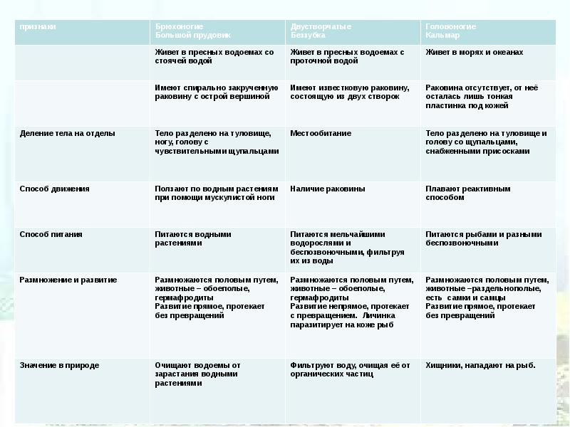 Таблица брюхоногие двустворчатые головоногие 7 класс. Сравнительная характеристика типа моллюски таблица 7 класс. Сравнительная характеристика классов моллюсков таблица 7. Сравнительная характеристика класса моллюсков таблица 7 класс. Сравнительная характеристика класса моллюски таблица.