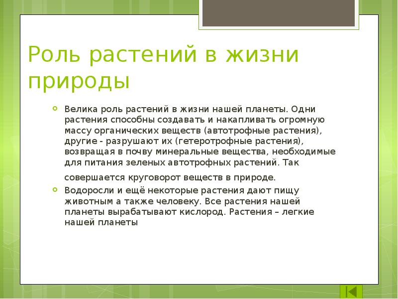 Составить схему роль растений в природе