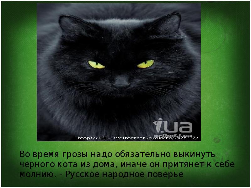 Презентация на тему приметы и суеверия в россии и великобритании