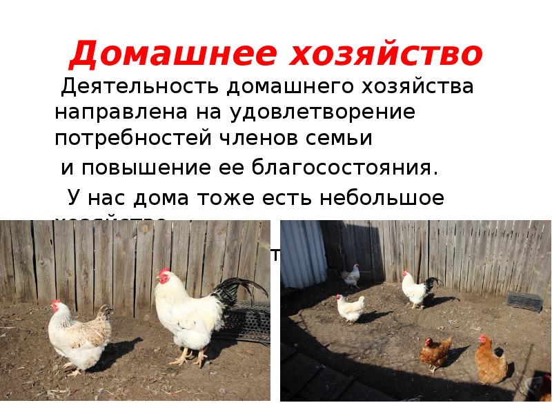 Домашнее хозяйство
Деятельность домашнего хозяйства направлена на удовлетворение потребностей Домашнее хозяйство
Деятельность домашнего хозяйства направлена на удовлетворение потребностей