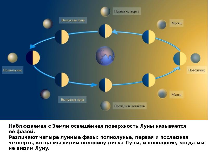 На схеме показаны 8 положений земли и луны относительно друг друга которые