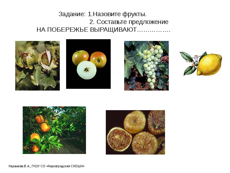 Задание: 1.Назовите фрукты. Задание: 1.Назовите фрукты.