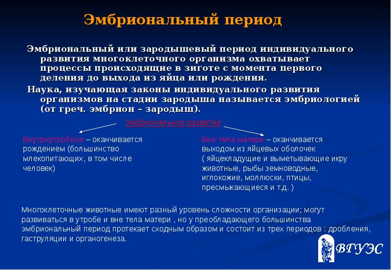 Периоды индивидуального развития. Зародышевый период. Наука изучающая индивидуальное развитие организма называется. Как называется наука изучающая индивидуальное развитие организмов. Период «индивидуального авторства» начинается…..