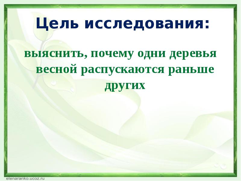 Раньше других произошло. Почему одни деревья распускаются раньше других весной.