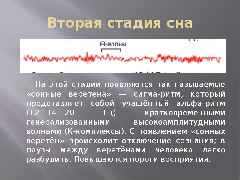 Вторая фаза. Физиологические механизмы фазы сна. 