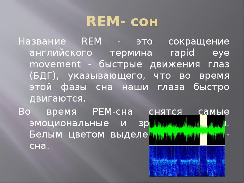 Физиология сна презентация